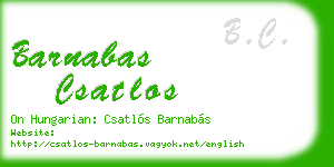 barnabas csatlos business card